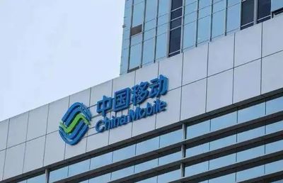 软件开发项目中标候选人变更之谜 报价调整背后的合规性与行业思考